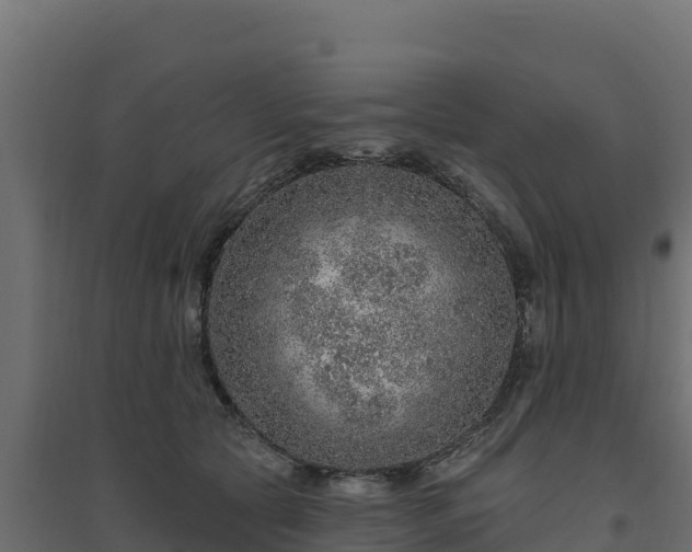 X0000094770561200711241319