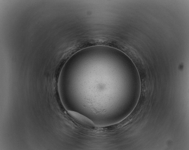 X0000094770563200711241319