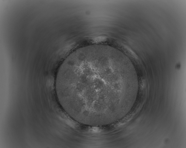 X0000094770565200711241319