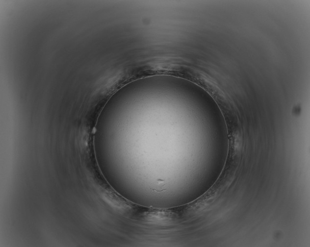 X0000094770567200711241319