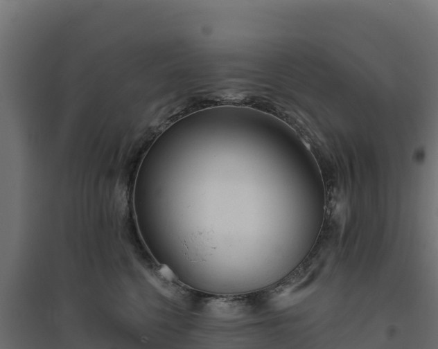 X0000094770568200711241319