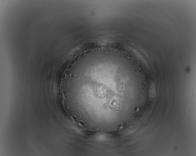 X0000094770569200711241319