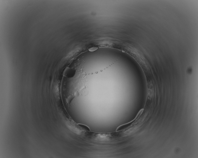 X0000094770573200711241319