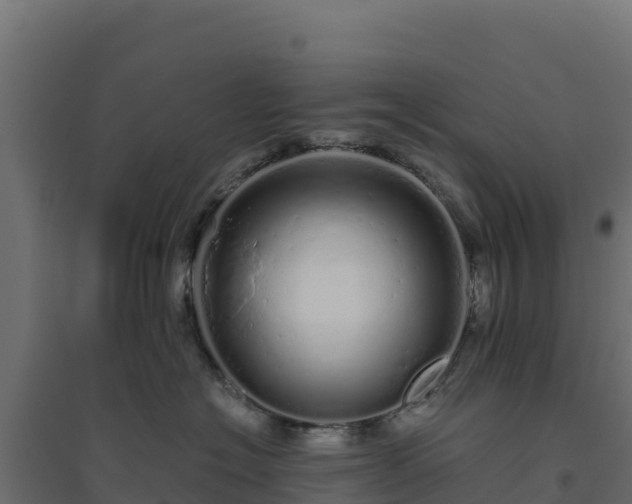 X0000094770574200711241319