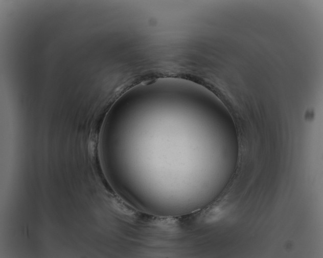 X0000094770576200711241319