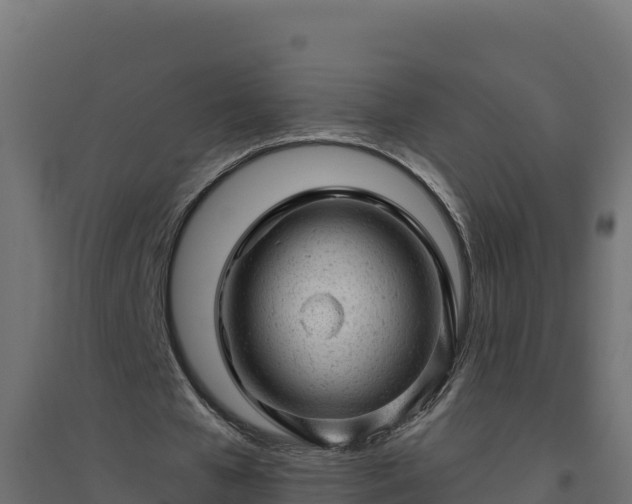 X0000094770577200711241319