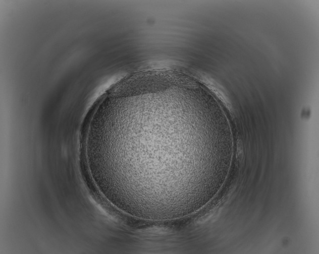 X0000094770578200711241319