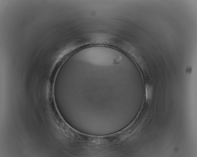 X0000094770579200711241319