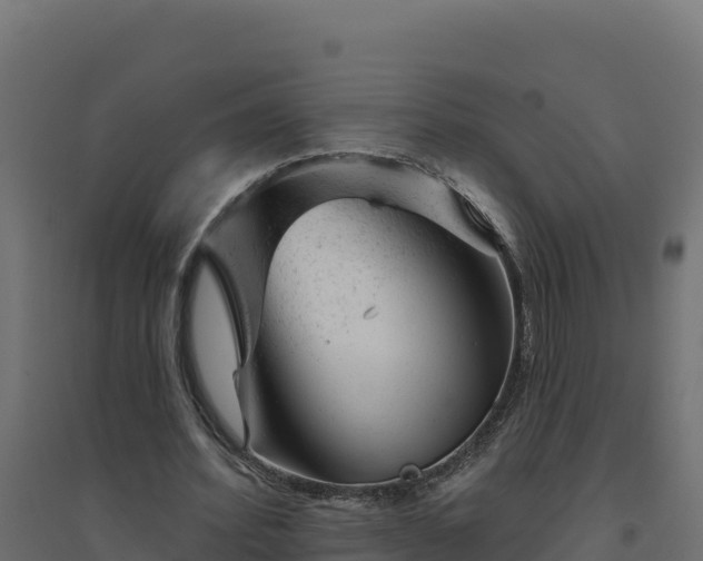 X0000094770580200711241319