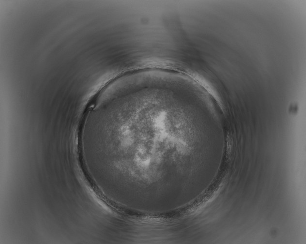 X0000094770581200711241319