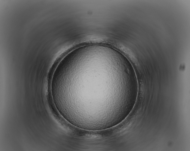 X0000094770582200711241319