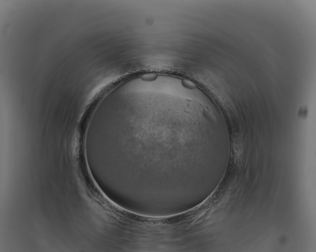 X0000094770583200711241319