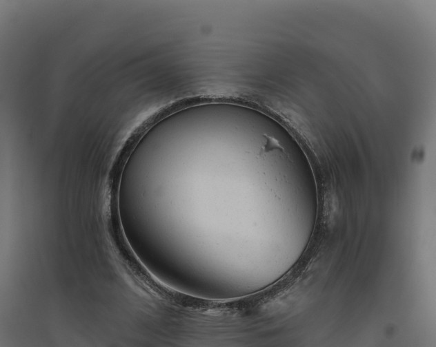 X0000094770584200711241319