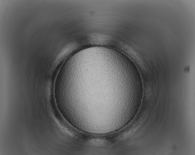 X0000094770586200711241319