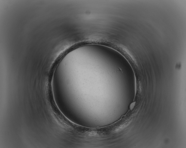 X0000094770588200711241318