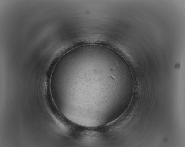 X0000094770590200711241318