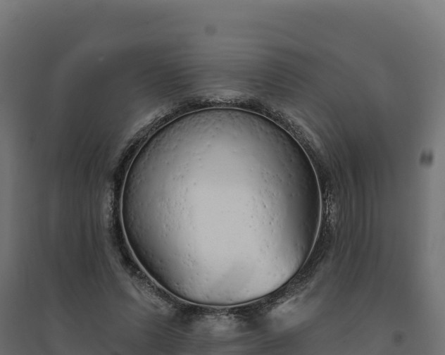 X0000094770591200711241318