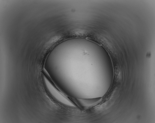 X0000094770593200711241318