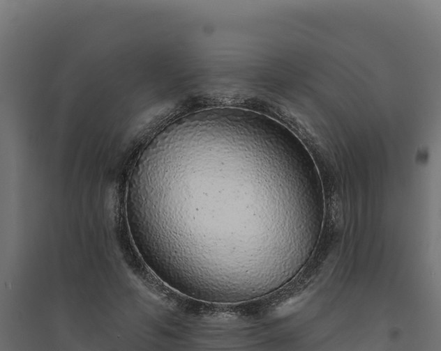 X0000094770594200711241318