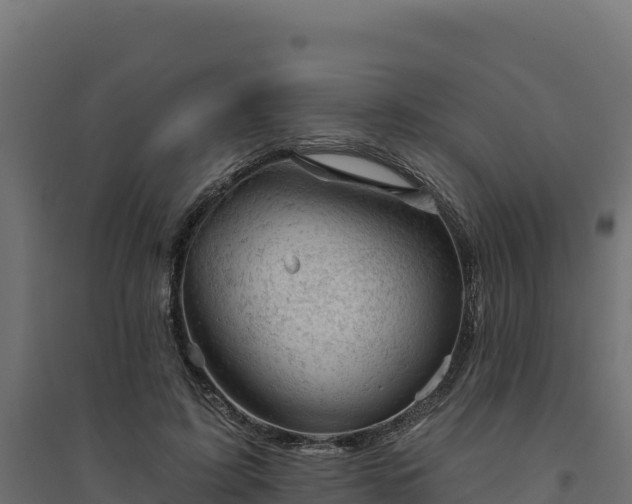 X0000094770595200711241318