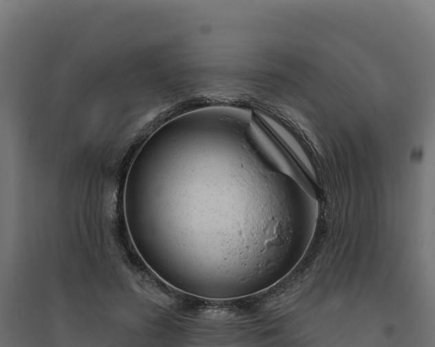 X0000094770596200711241318