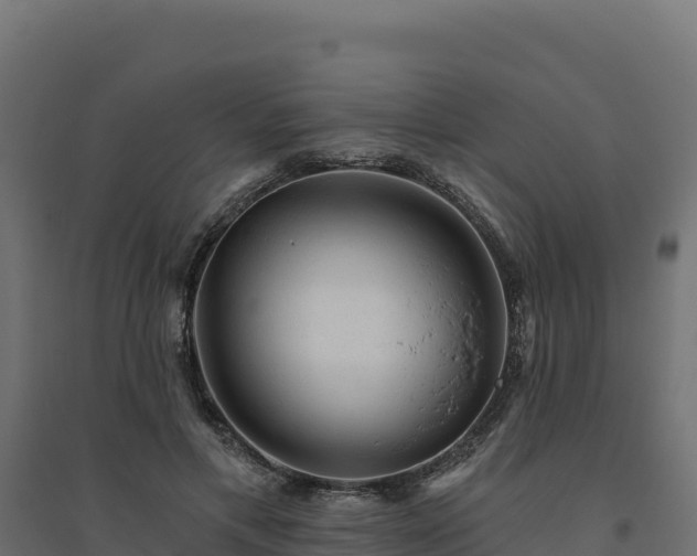 X0000094770597200711241318