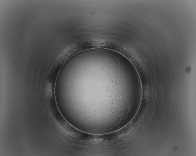 X0000094770598200711241318