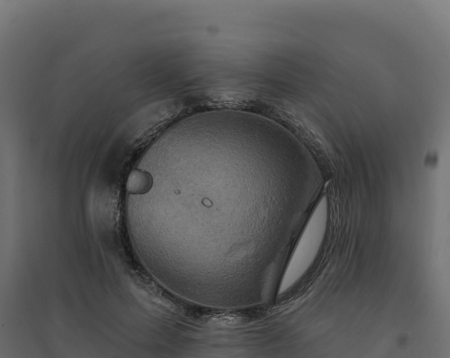 X0000094770599200711241318