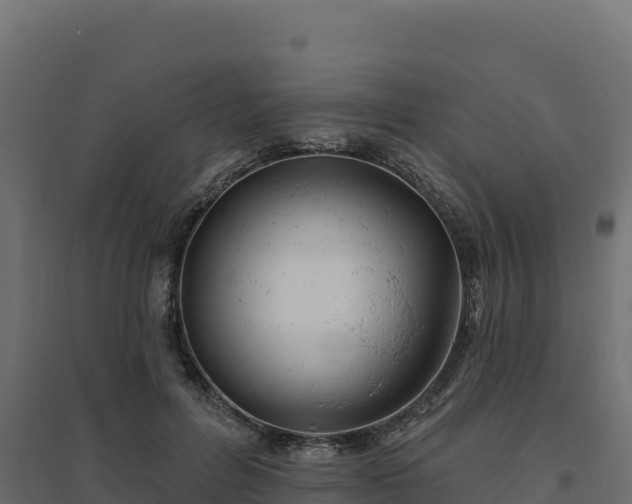 X0000094770600200711241318