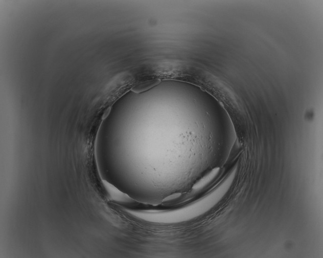 X0000094770601200711241318