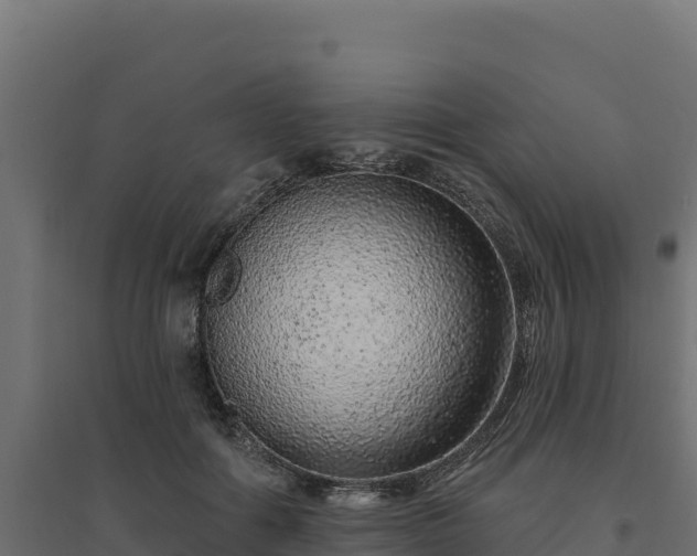 X0000094770602200711241318