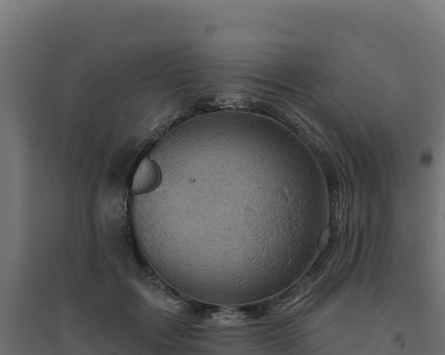 X0000094770603200711241318