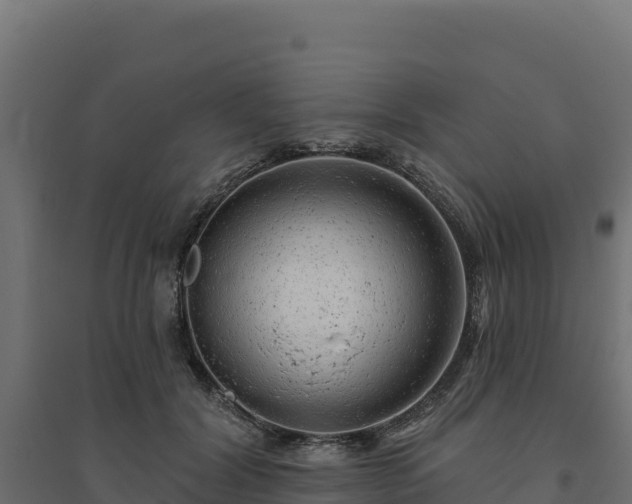 X0000094770604200711241318