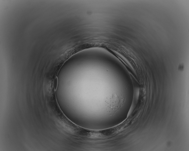 X0000094770605200711241318