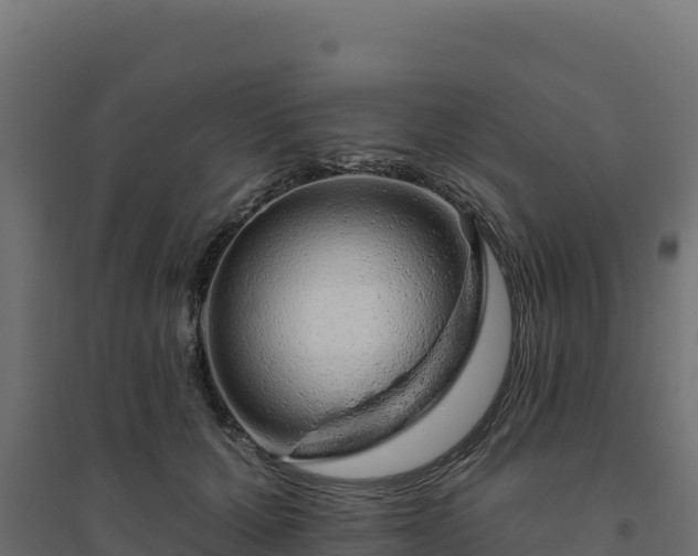 X0000094770607200711241318