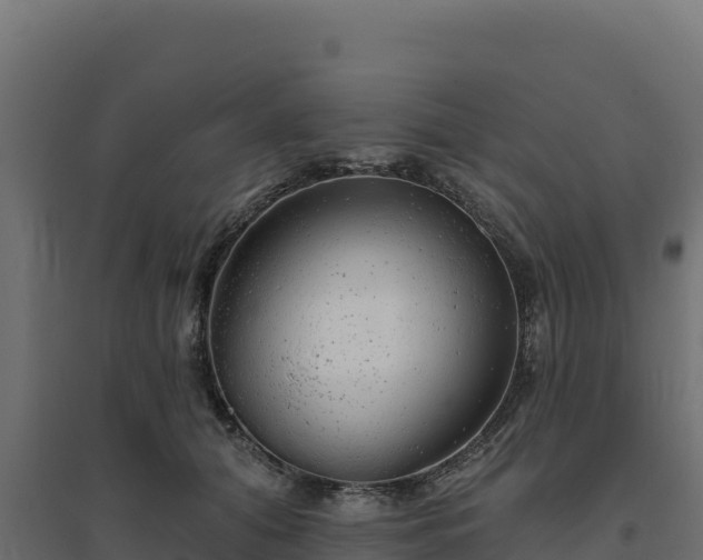 X0000094770608200711241318