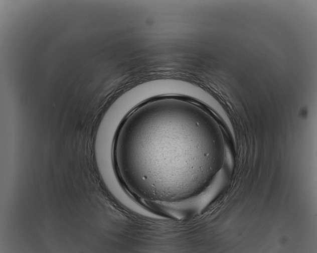 X0000094770609200711241318