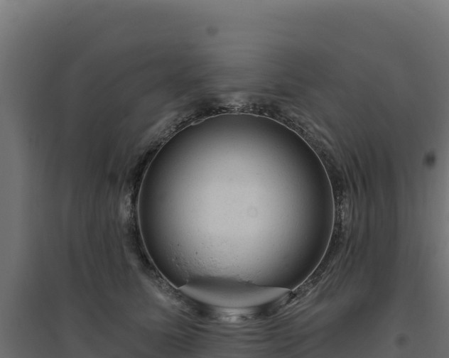 X0000094770611200711241318