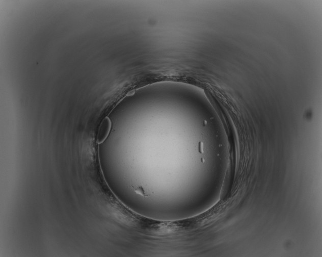 X0000094770612200711241318