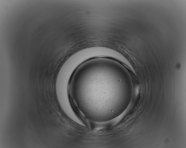 X0000094770613200711241318