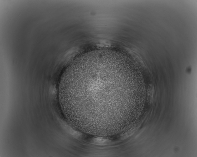 X0000094770614200711241318