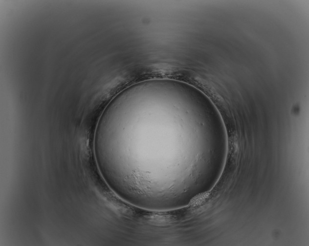 X0000094770615200711241318