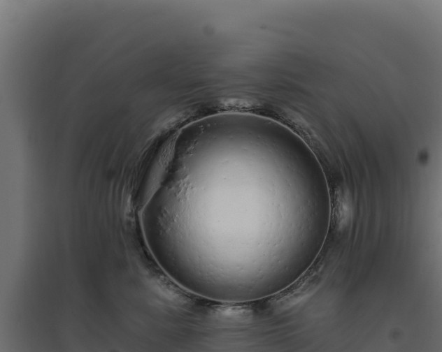 X0000094770619200711241318