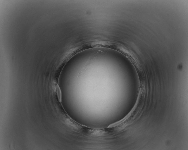 X0000094770621200711241318