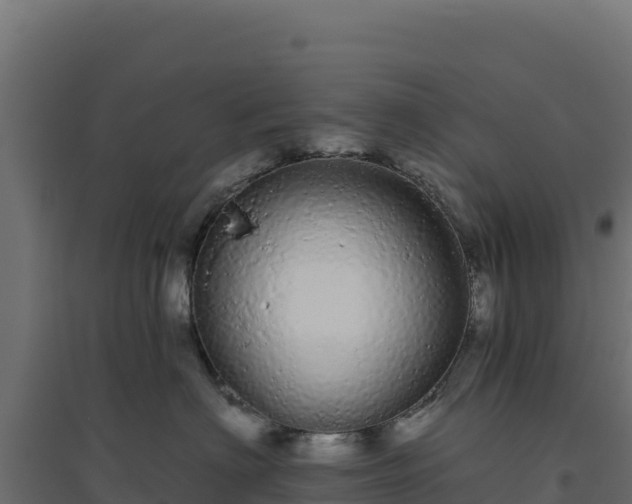 X0000094770622200711241318