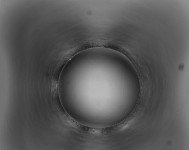 X0000094770624200711241318