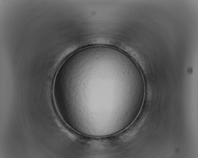 X0000094770625200711241317