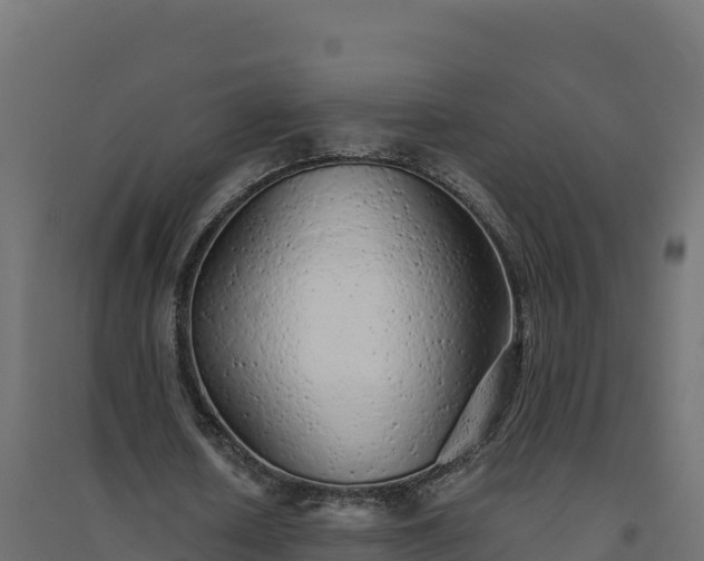 X0000094770626200711241317