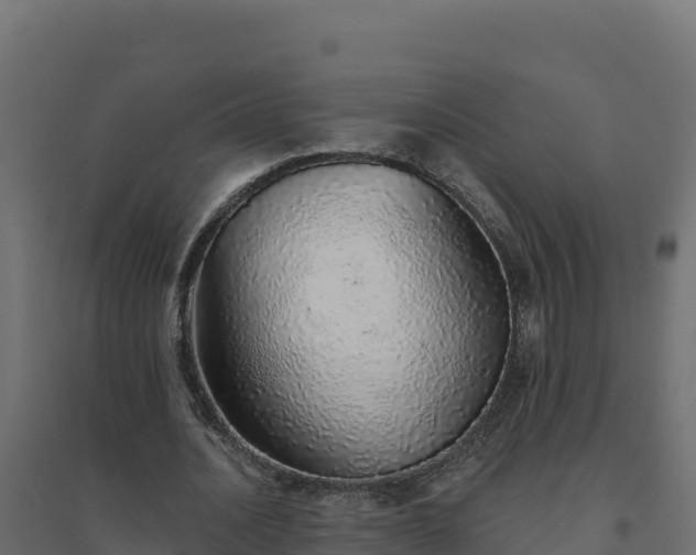 X0000094770628200711241317