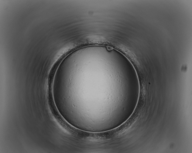 X0000094770630200711241317